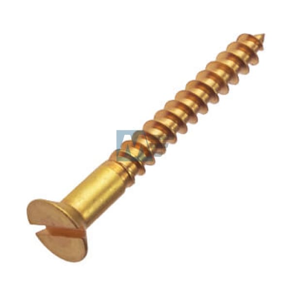 Brass Screw 1