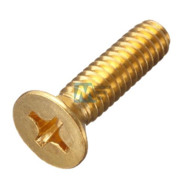 Brass Screw 4