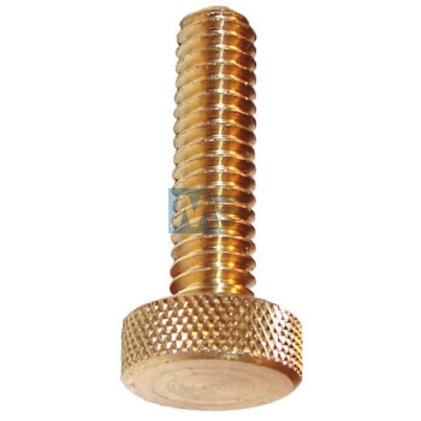 Brass Screw 2