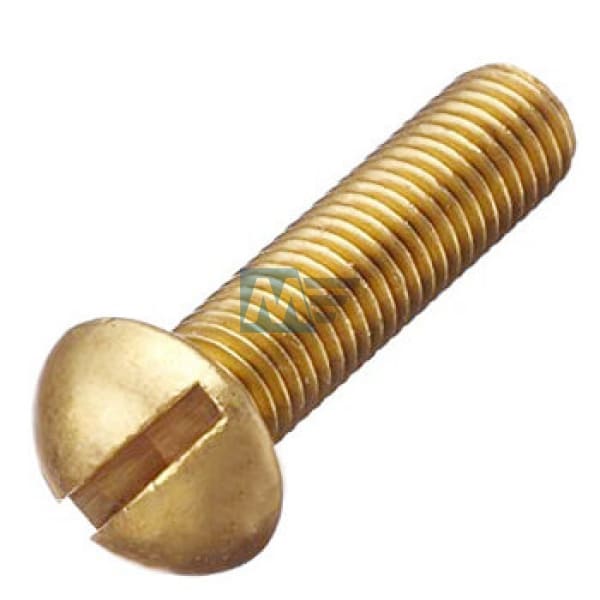 Brass Screw 3